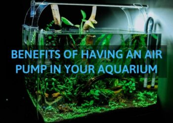 How do you oxygenate a planted tank?