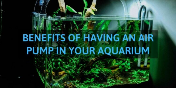 How do you oxygenate a planted tank?
