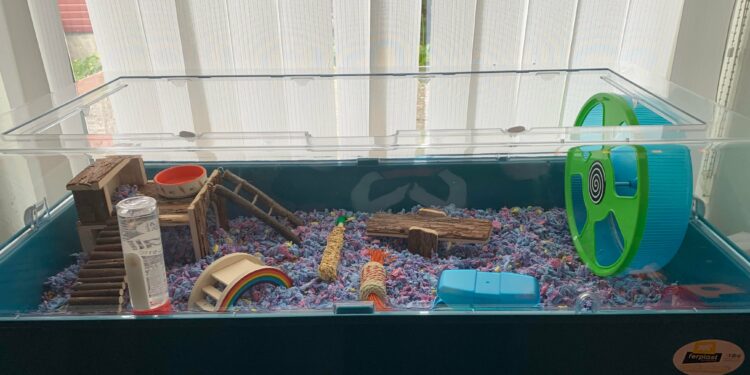 Is a fish tank good for a hamster?