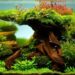 Is it hard to aquascape?