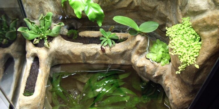 Où acheter un paludarium ?