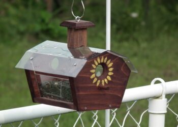 Où dorment les mésanges la nuit ?