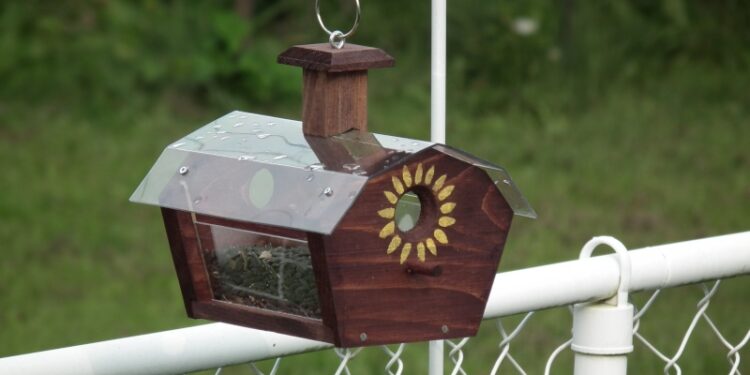 Où dorment les mésanges la nuit ?