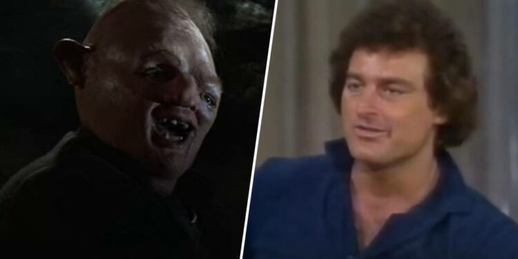 Où dort un iguane ?