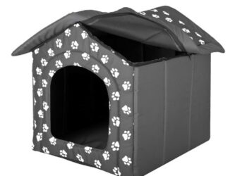 Où faire dormir le chien la nuit ?