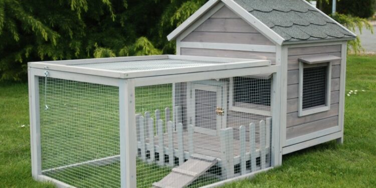 Où faire dormir un cochon d'Inde ?