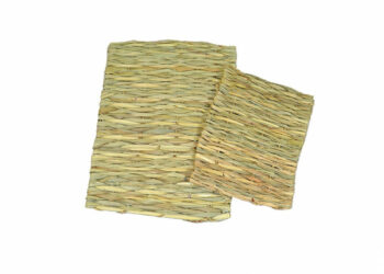 Où faire dormir un cochon d'Inde ?