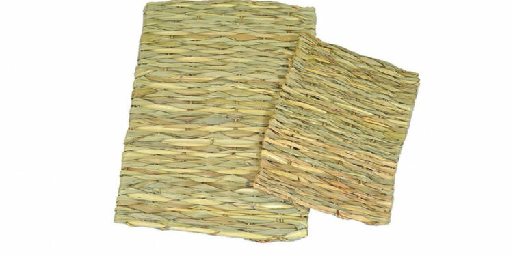 Où faire dormir un cochon d'Inde ?