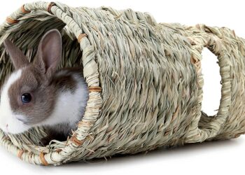 Où faire dormir un lapin ?