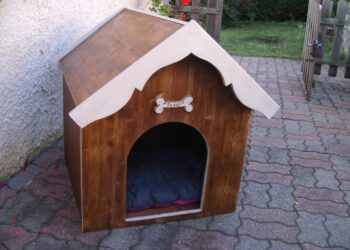 Où il vit le chien ?