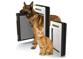 Où installer une chatière ?