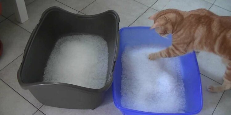 Où jeter litière silice ?