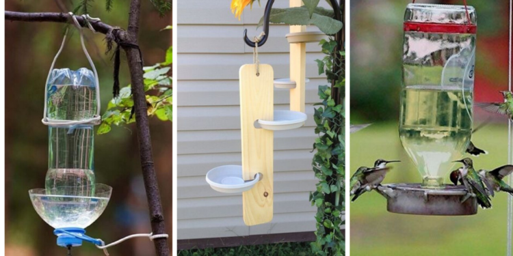 Où mettre de l'eau pour les oiseaux ?