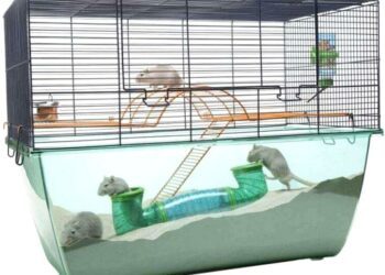 Où mettre la cage de sa gerbille ?