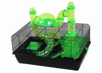 Où mettre la cage de sa gerbille ?