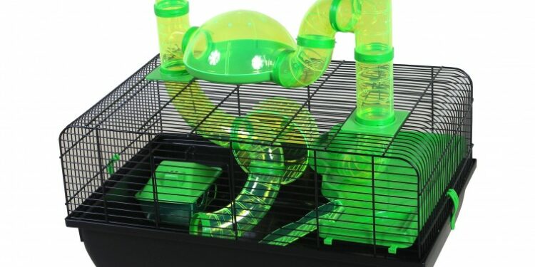 Où mettre la cage de sa gerbille ?