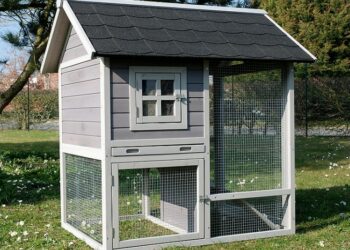 Où mettre la cage d'un chinchilla ?