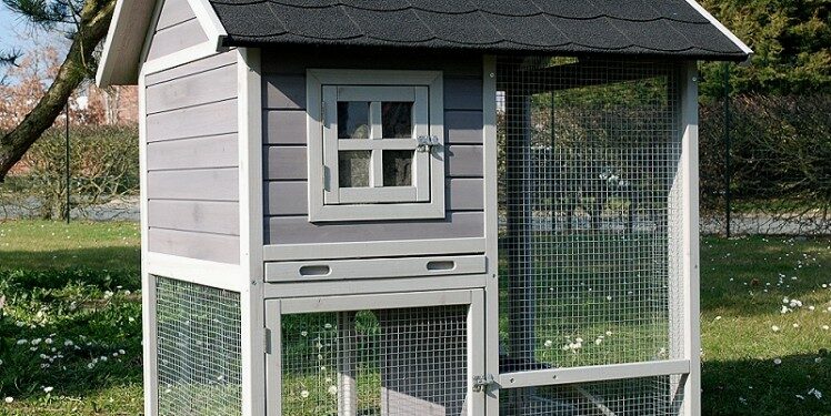 Où mettre la cage d'un chinchilla ?