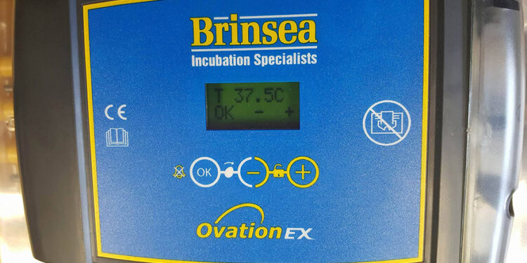 Où mettre la couveuse ?