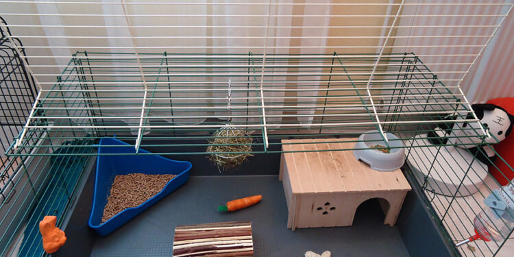 Où mettre la litière dans la cage du lapin ?