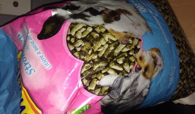 Où mettre la litière dans la cage du lapin ?