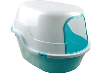 Où mettre la litière de mon chat ?