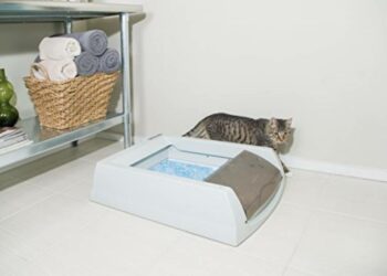 Où mettre la litière du chat dans la maison ?