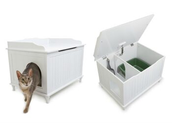 Où mettre la litière d'un chat ?