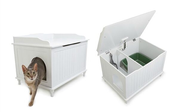 Où mettre la litière d'un chat ?