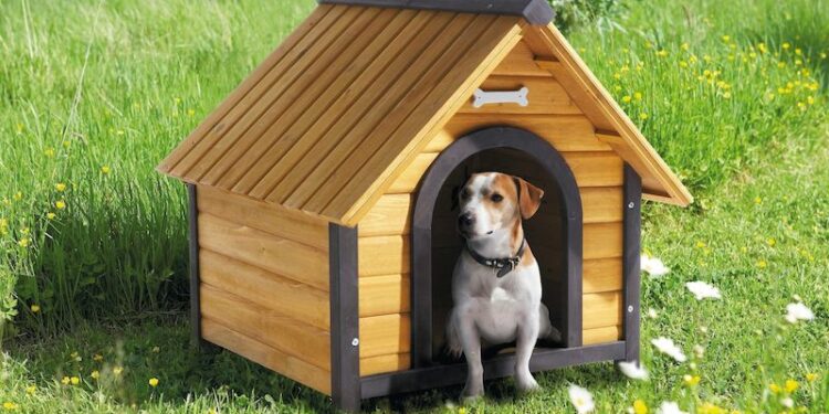 Où mettre la niche d'un chien ?
