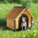 Où mettre la niche d'un chien ?