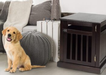 Où mettre la niche d'un chien ?