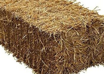 Où mettre la paille sale du poulailler ?