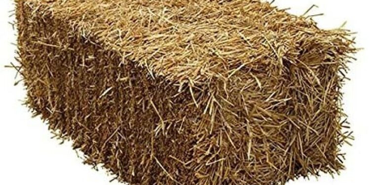 Où mettre la paille sale du poulailler ?