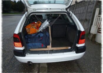 Où mettre le chien dans la voiture ?