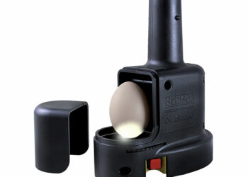 Où mettre l'eau dans la couveuse ?