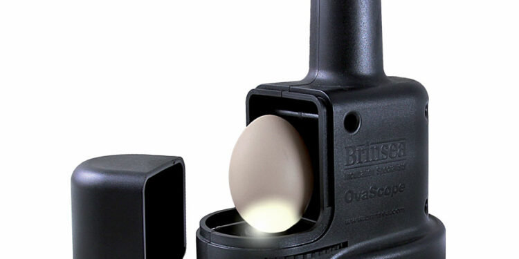 Où mettre l'eau dans la couveuse ?