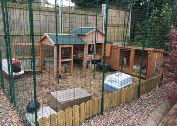 Où mettre l'enclos du lapin dans la maison ?