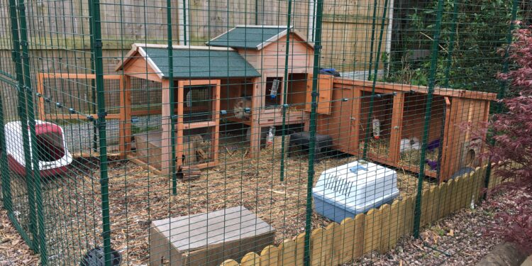 Où mettre l'enclos du lapin dans la maison ?