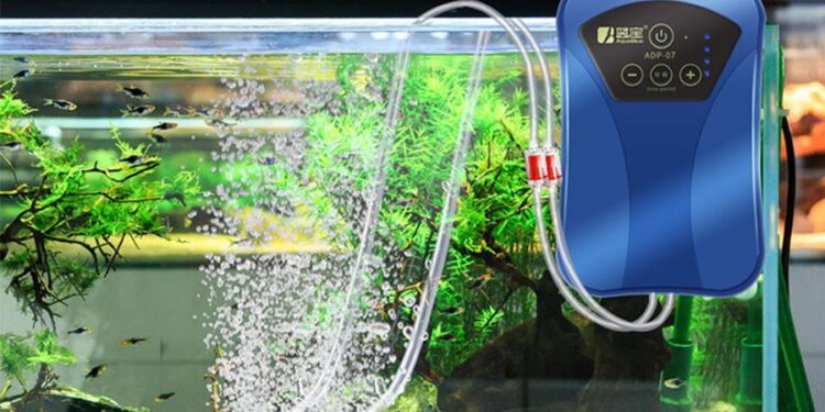 Où mettre sa pompe de brassage aquarium eau douce ?