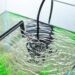 Où mettre sa pompe de brassage aquarium eau douce ?