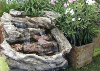 Où mettre une tortue d'eau ?