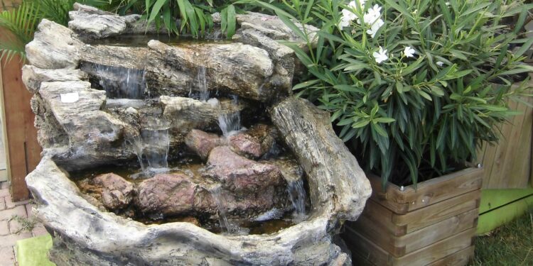 Où mettre une tortue d'eau ?