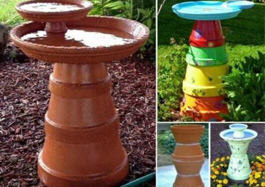 Où placer eau pour oiseaux ?