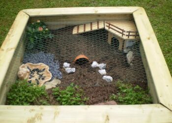 Où placer enclos tortue ?