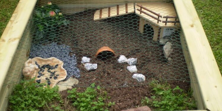 Où placer enclos tortue ?