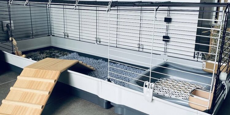 Où placer la cage de mon lapin nain ?