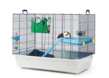 Où placer la cage de mon rat ?