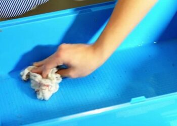 Où placer la cage d'un hamster ?