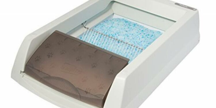 Où placer la litière d'un chat ?